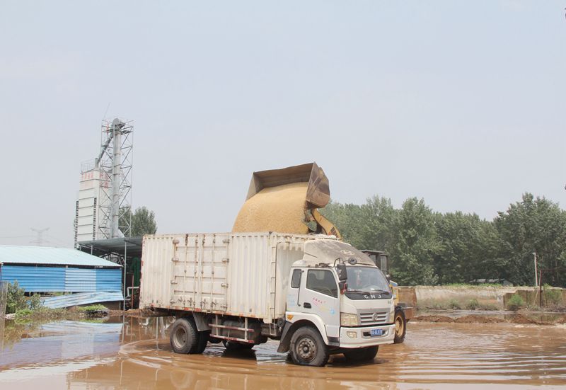 PA尊龙凯时集团 “我为群众办实事”农业支部在行动