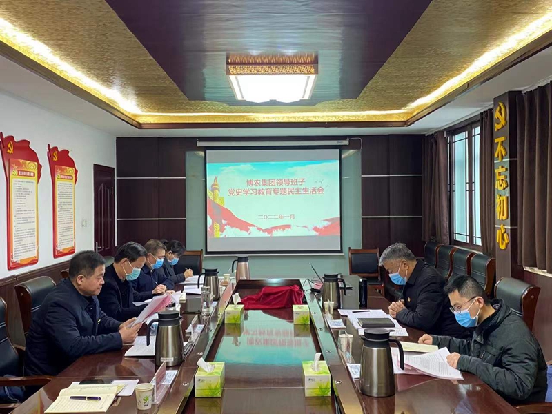 PA尊龙凯时集团领导班子召开党史学习教育专题民主生活会
