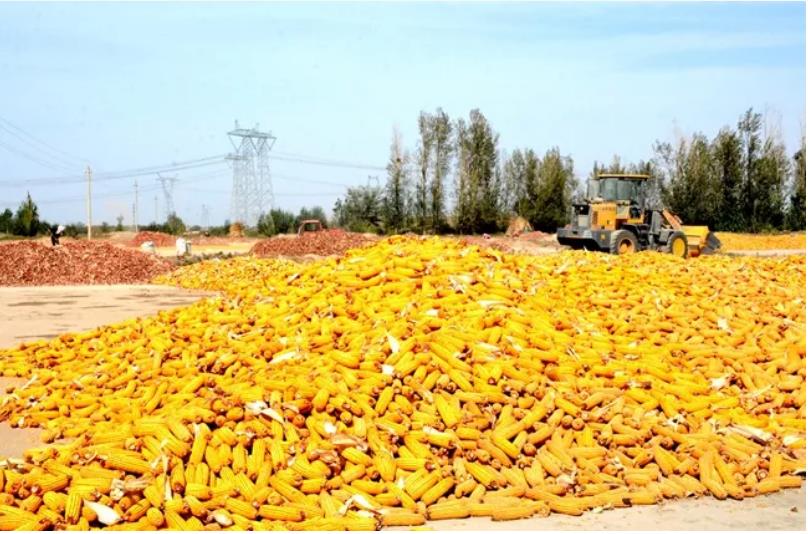 党建引领促生产  凝心聚力保安全