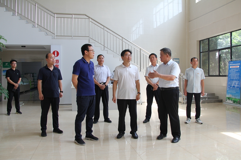 李亦博市长莅临PA尊龙凯时集团调研